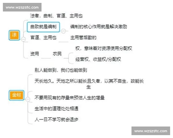 从战术执行到关键回合抉择的篮球赛后复盘深度解析与球员表现评估观察