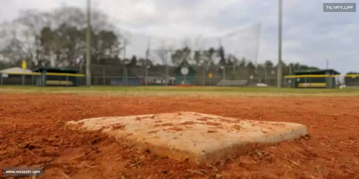 行业领先的理由